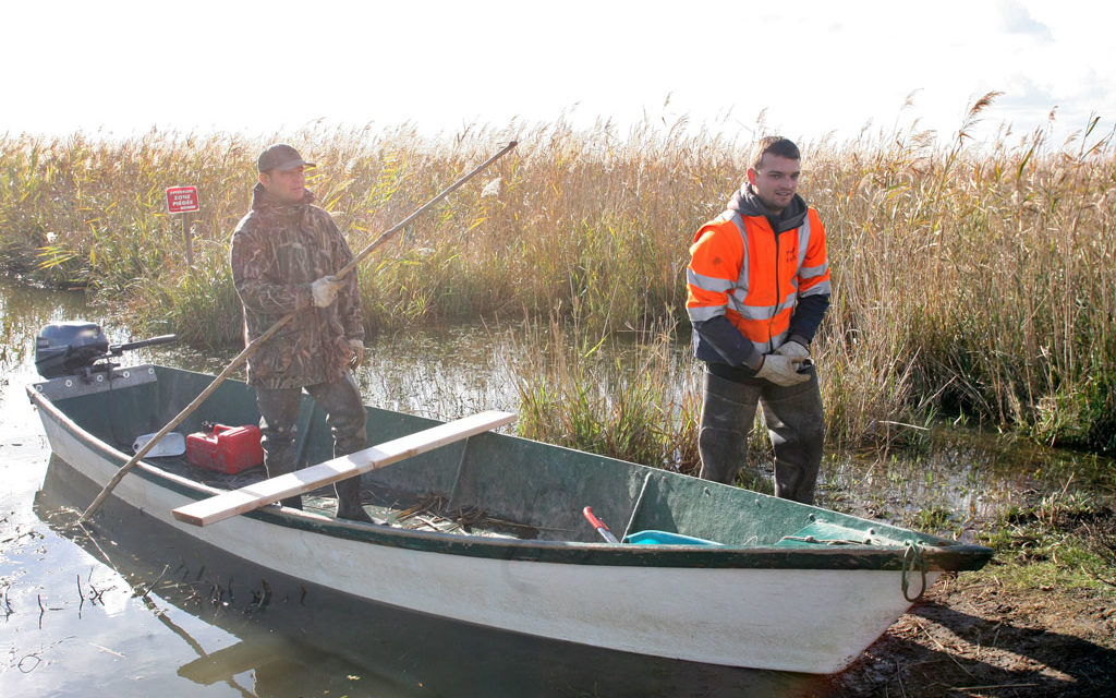 Lancement de la campagne de régulation du ragondin