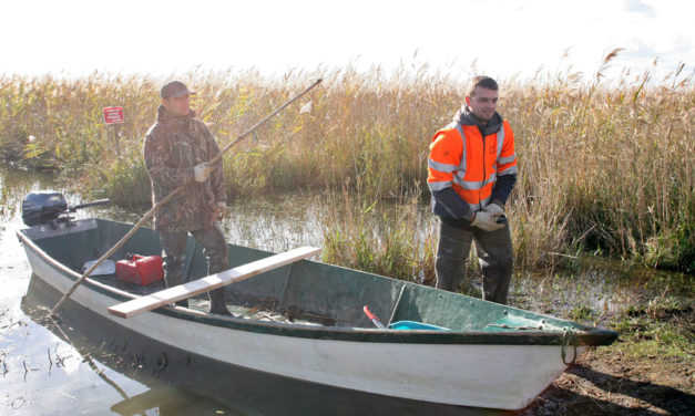Lancement de la campagne de régulation du ragondin