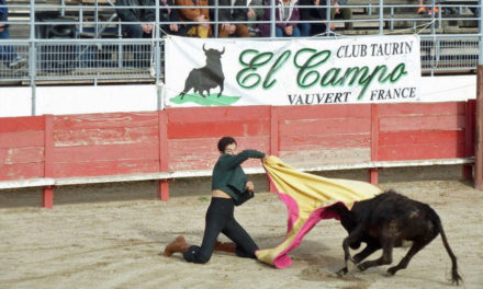 La traditionnelle capea automnale d’El Campo