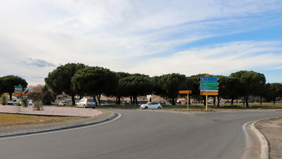 Petite Camargue : Un nouveau cap pour l’Office de tourisme