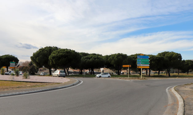 Petite Camargue : Un nouveau cap pour l’Office de tourisme