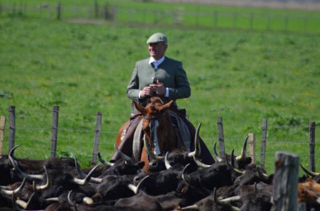 Vauvert : la Peña Toros y fiestas organise une soirée de présentation