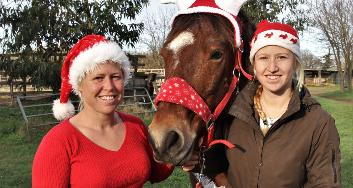 Beauvoisin : “A cheval chez Théo” une autre équitation