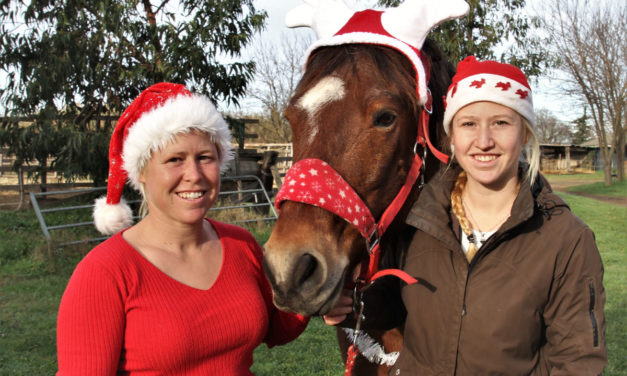 Beauvoisin : “A cheval chez Théo” une autre équitation