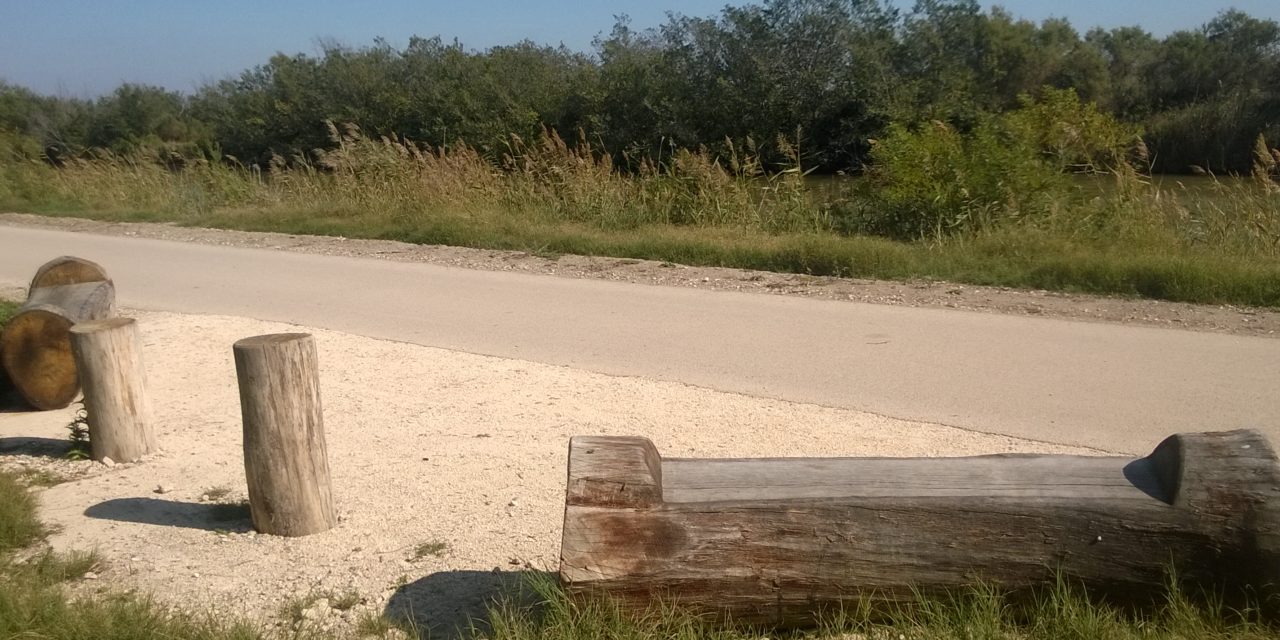 La CC Petite Camargue envisage de relier Aimargues, Le Cailar et Vauvert par une voie verte