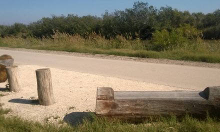 La CC Petite Camargue envisage de relier Aimargues, Le Cailar et Vauvert par une voie verte