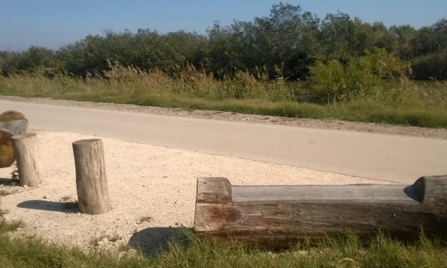 La CC Petite Camargue envisage de relier Aimargues, Le Cailar et Vauvert par une voie verte