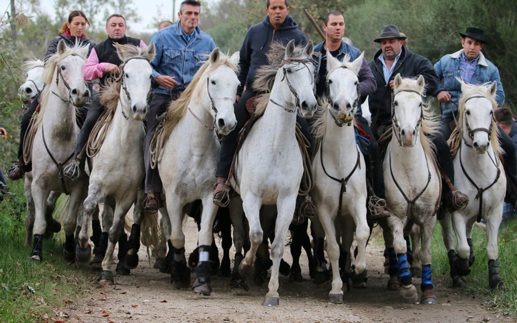Une journée « Authentique » à la Churascaia