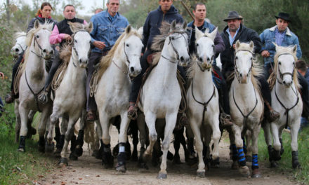 Une journée « Authentique » à la Churascaia