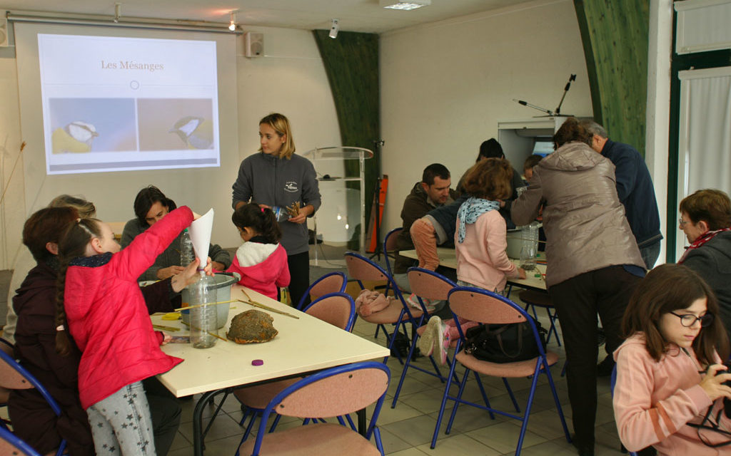 “Le Cabaret des mésanges” Atelier de découverte au Scamandre
