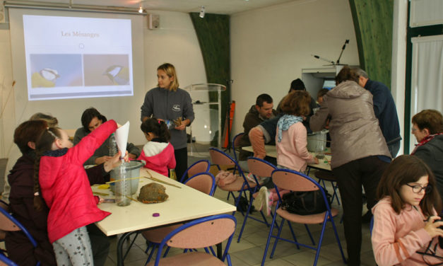 “Le Cabaret des mésanges” Atelier de découverte au Scamandre