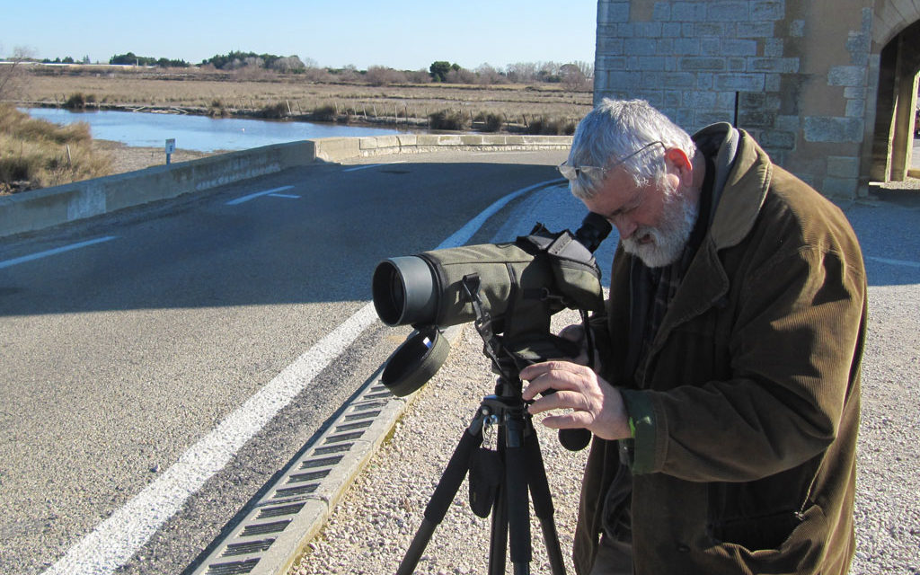 Bien connaître les oiseaux pour mieux les protéger