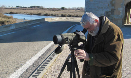 Bien connaître les oiseaux pour mieux les protéger