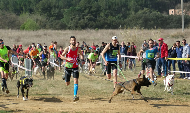 Succès au rendez-vous pour le 3ème Canicross de Vauvert