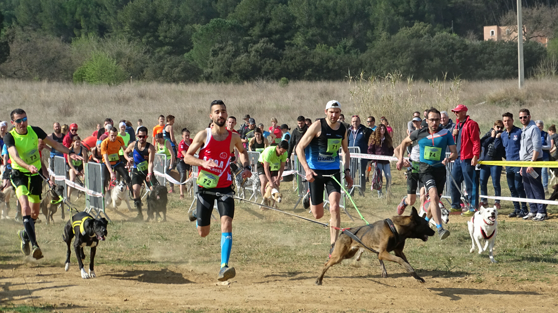 Succès au rendez-vous pour le 3ème Canicross de Vauvert