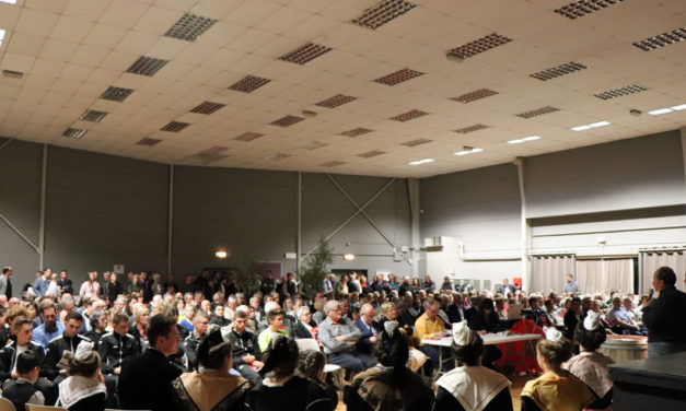 Vauvert : une saison taurine riche de promesses