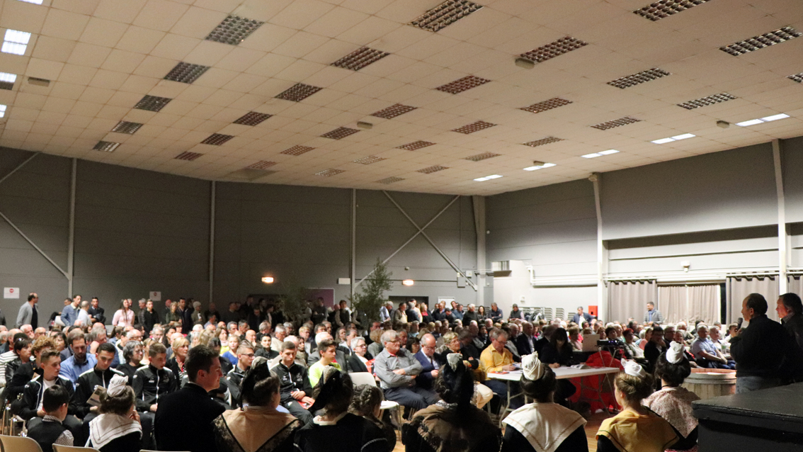 Vauvert : une saison taurine riche de promesses