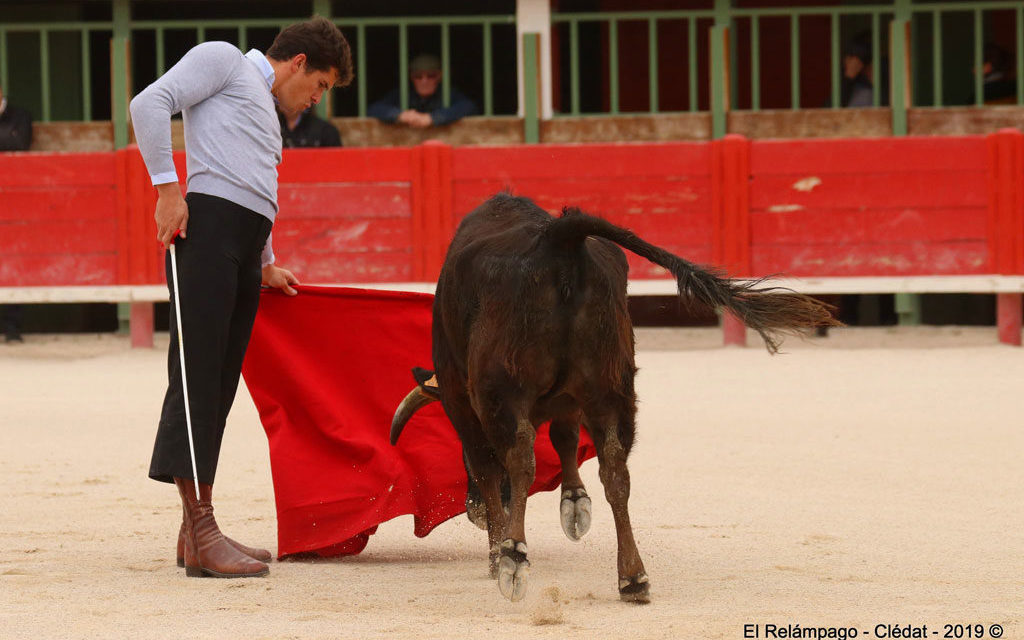 Vauvert : Tentadero de machos, organisé par la Peña taurine Los Manzanares