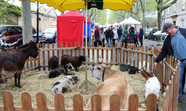 Vauvert met le terroir à l’honneur