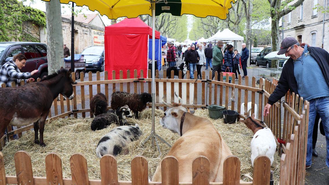 Vauvert met le terroir à l’honneur