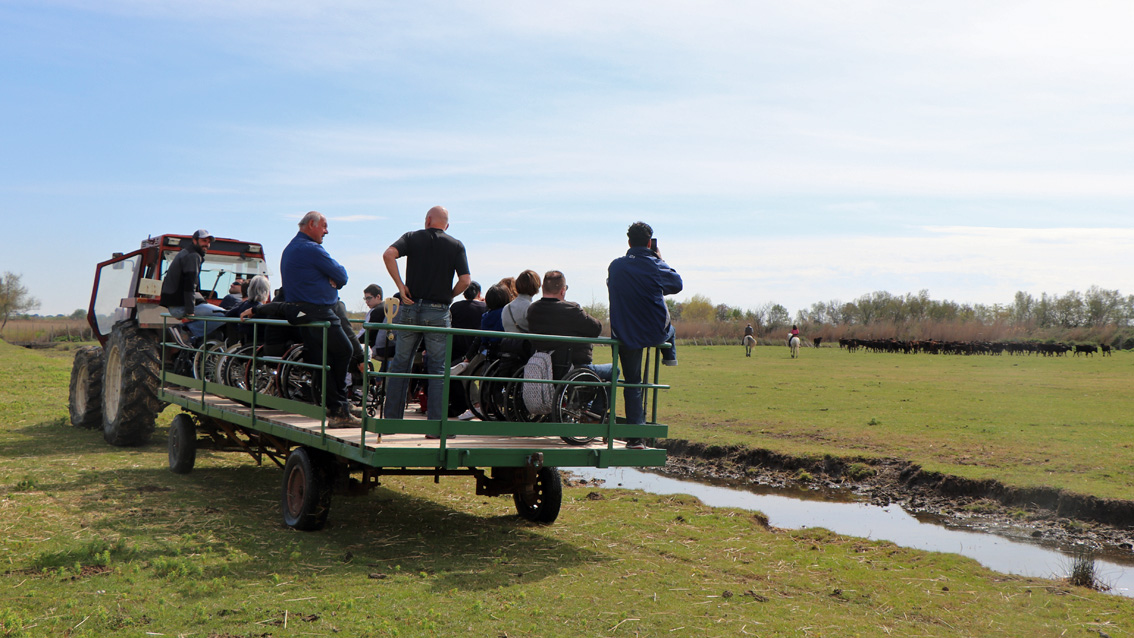 À la manade de Franquevaux, les personnes en situation de handicap vivent pleinement la Camargue