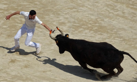 Course Camarguaise : Des « Prémices » prometteuses