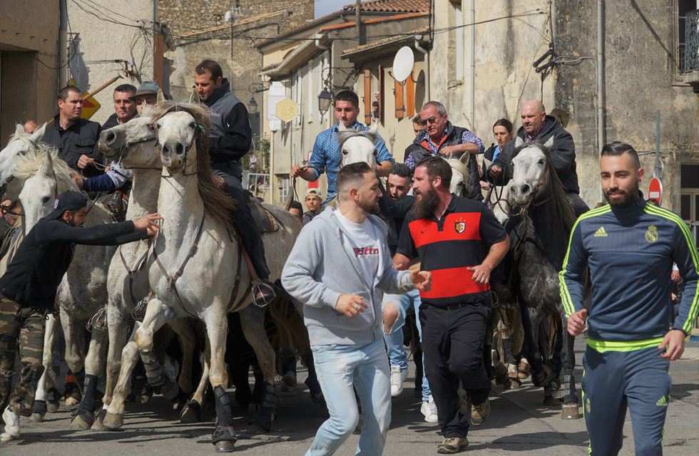 Fête de l’Aficion à Beauvoisin