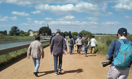 Balade découverte entre Costières et marais