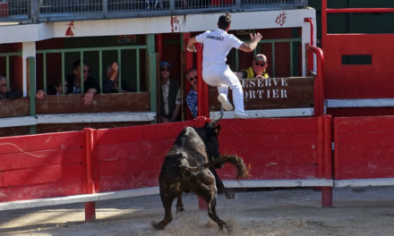 Vauvert – Trophée des vignerons : Les biòu ont dominé