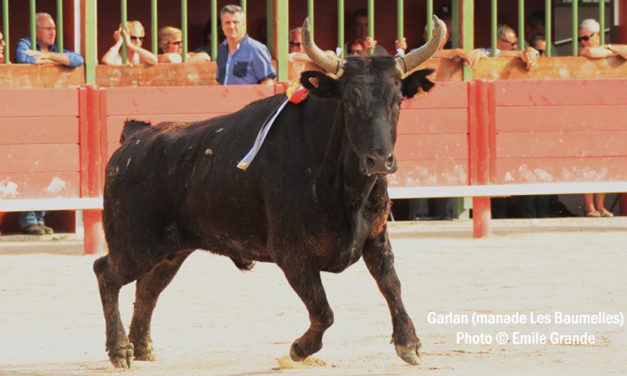 Un invité spécial pour le trophée des As ce jeudi 30 mai