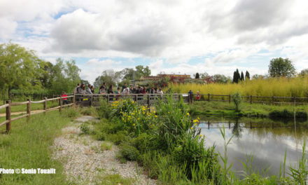 Le Parc des Aigrettes, un cadre bucolique qui vaut le détour