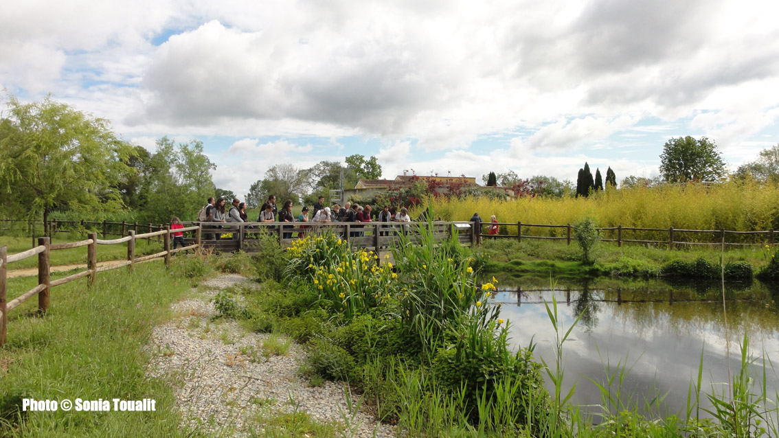 Le Parc des Aigrettes, un cadre bucolique qui vaut le détour