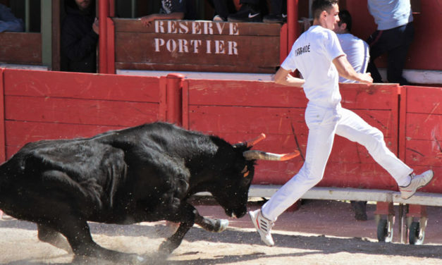 Vauvert : Finale du 1er trophée des Prémices ce vendredi 17 mai