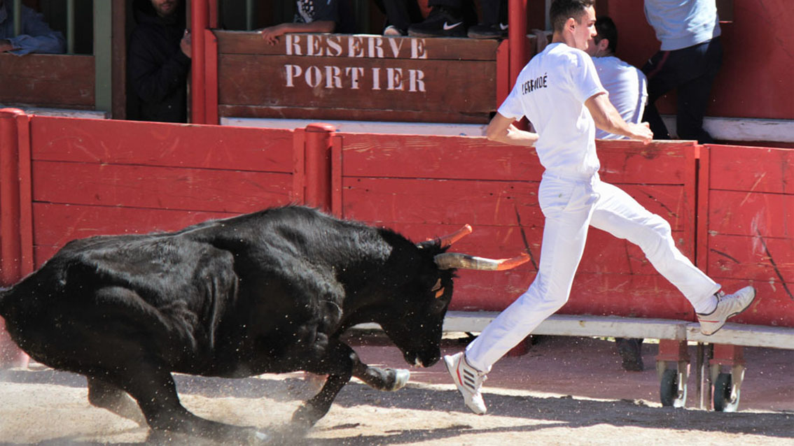 Vauvert : Finale du 1er trophée des Prémices ce vendredi 17 mai