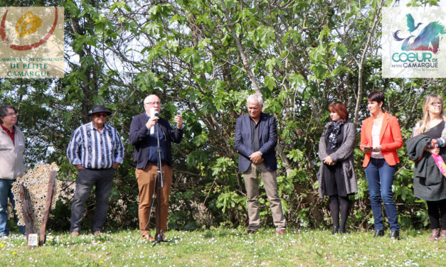 Port de plaisance de Gallician : Escale au cœur de la Petite Camargue