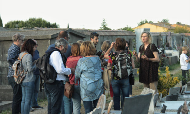 Festival Instants durables à Beauvoisin