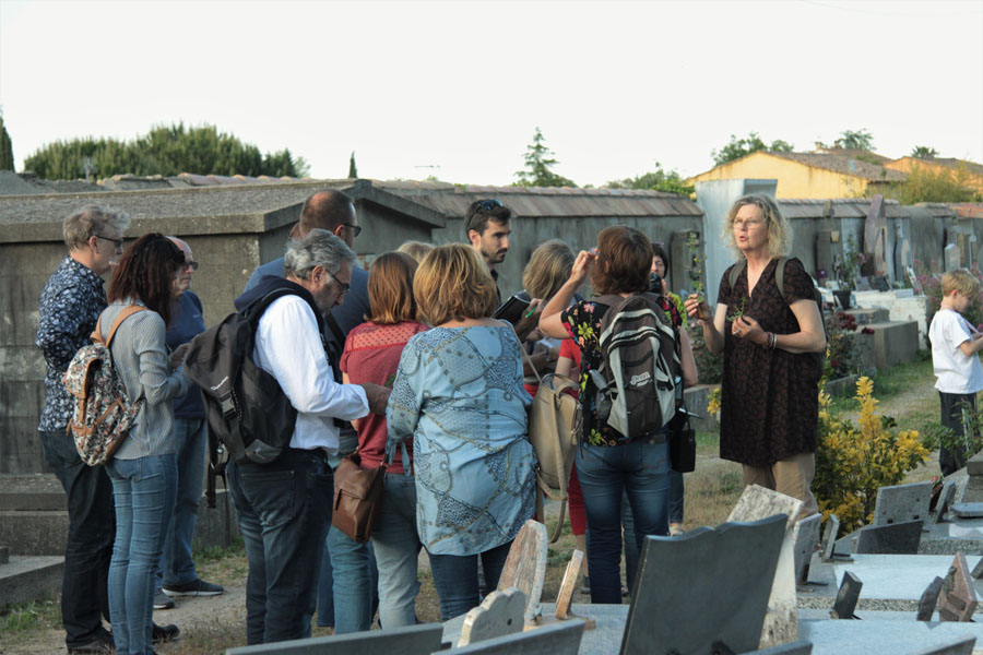 Festival Instants durables à Beauvoisin