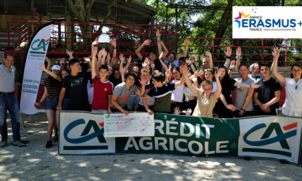 L’échange Erasmus + France / Allemagne, largement plébiscité par les collégiens