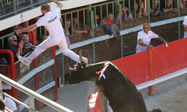 Arènes de Vauvert : on reste un peu sur sa faim