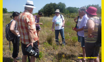 Atlas de la Biodiversité : Améliorer la connaissance floristique en Camargue