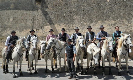 Fête de Gallician 2019 : beau succès pour le concours d’abrivado