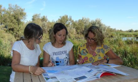 Valorisation du Patrimoine historique de Franquevaux