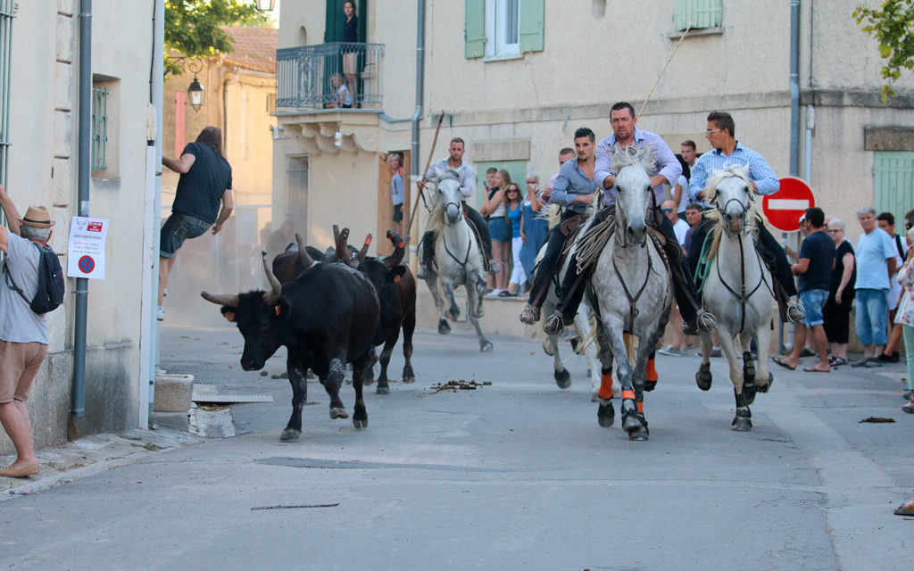 Images du Cailar en fête jusqu’à dimanche
