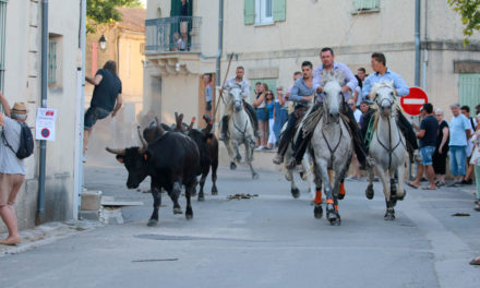 Images du Cailar en fête jusqu’à dimanche