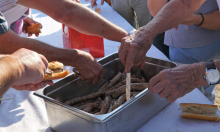 Beauvoisin : le déjeuner est dans les près.