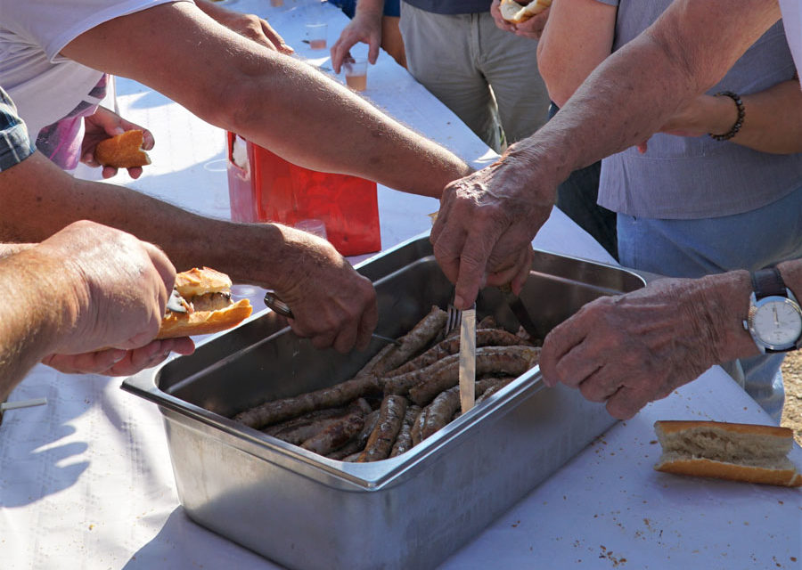 Beauvoisin : le déjeuner est dans les près.