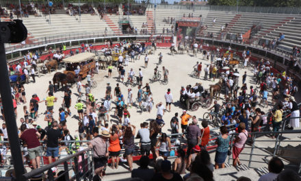 Vauvert : la journée à l’ancienne un peu boudée