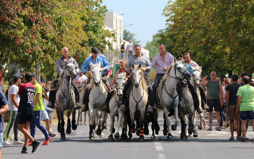 Vauvert : c’est parti pour neuf jours de fête