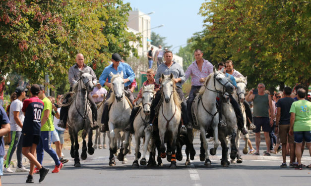 Vauvert : c’est parti pour neuf jours de fête