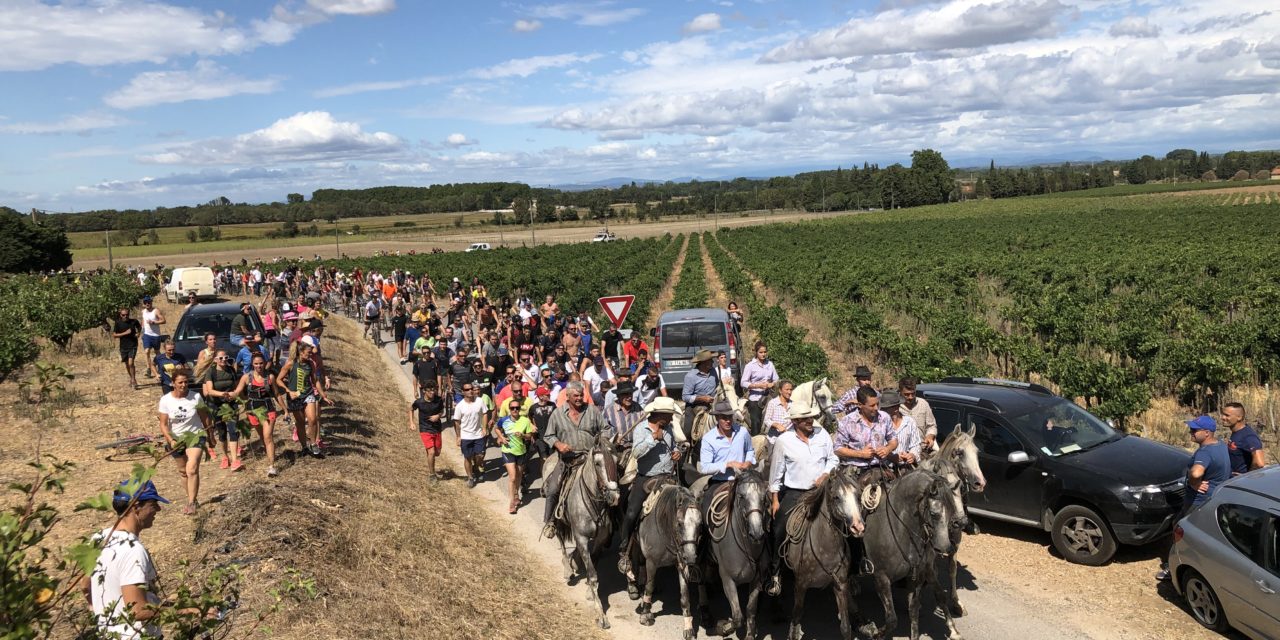 Le taureau, roi des fêtes votives